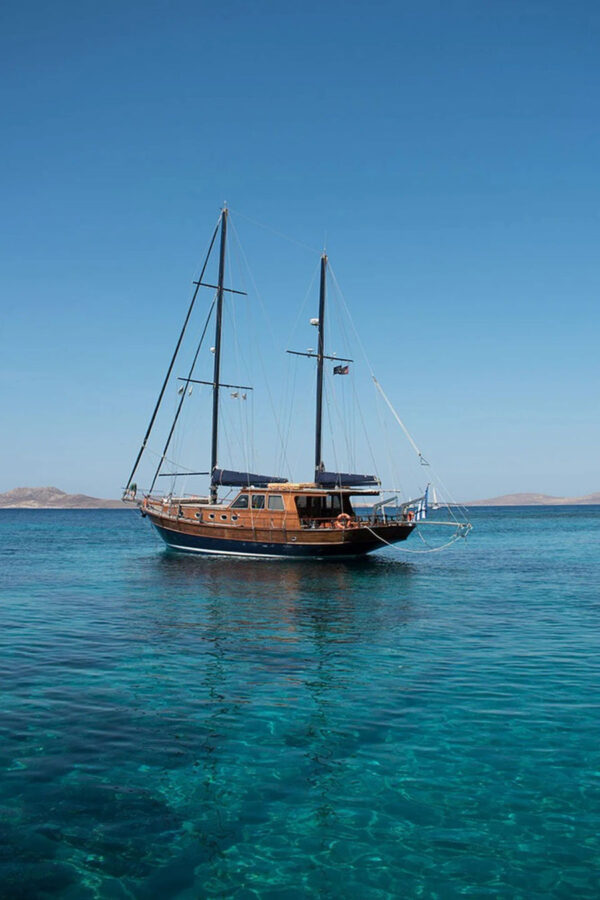 Mykonos Shared Cruise to Delos & Rhenia | Gulet Half-Day Trip with Swim Stops & Greek Snack Golden Yachting and Sailing
