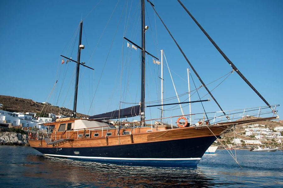 Mykonos Shared Cruise to Delos & Rhenia | Gulet Half-Day Trip with Swim Stops & Greek Snack Golden Yachting and Sailing