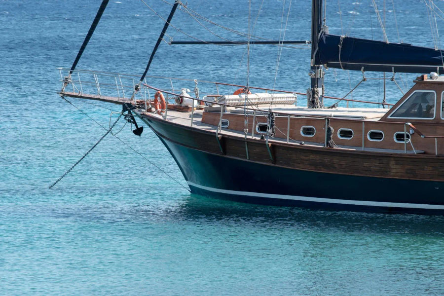 Mykonos Shared Cruise to Delos & Rhenia | Gulet Half-Day Trip with Swim Stops & Greek Snack Golden Yachting and Sailing