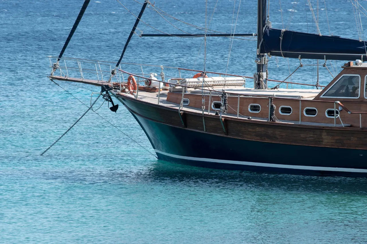 Mykonos Shared Cruise to Delos & Rhenia | Gulet Half-Day Trip with Swim Stops & Greek Snack Golden Yachting and Sailing
