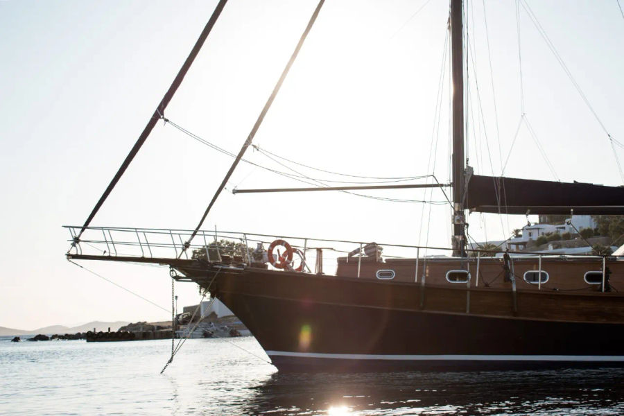 Mykonos Shared Cruise to Delos & Rhenia | Gulet Half-Day Trip with Swim Stops & Greek Snack Golden Yachting and Sailing