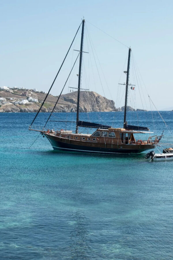 Mykonos Shared Cruise to Delos & Rhenia | Gulet Half-Day Trip with Swim Stops & Greek Snack Golden Yachting and Sailing