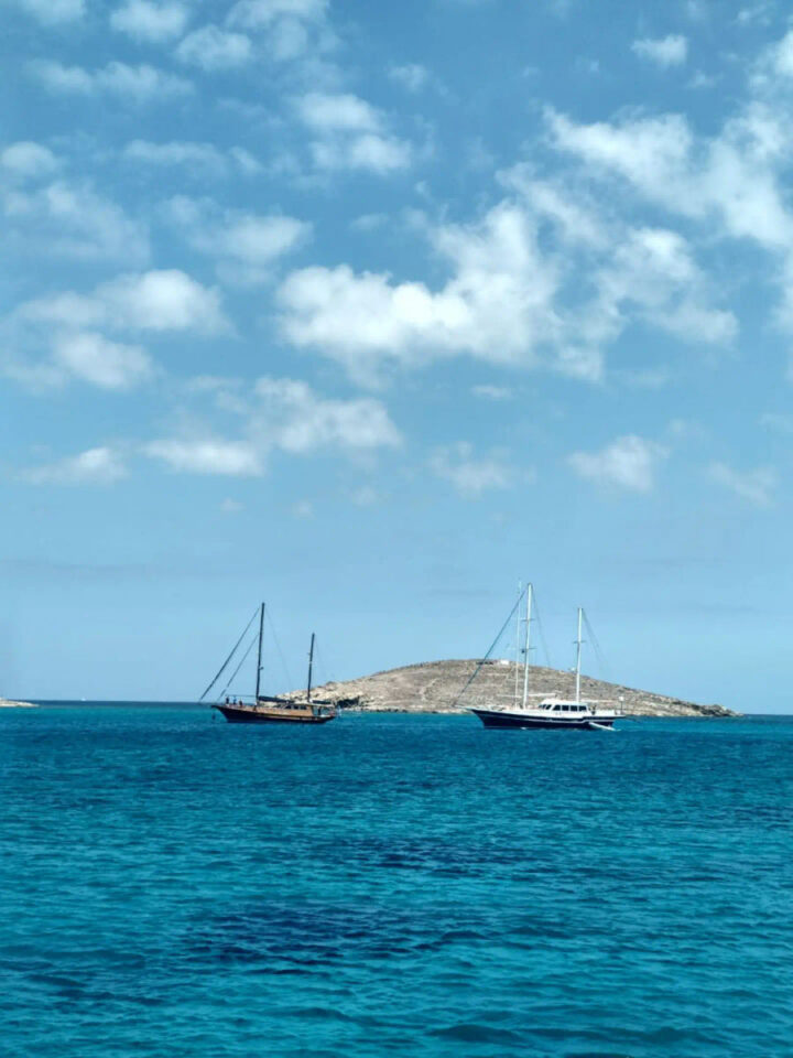 Rhenia and Delos Private Tour with a Gulet Golden Yachting and Sailing