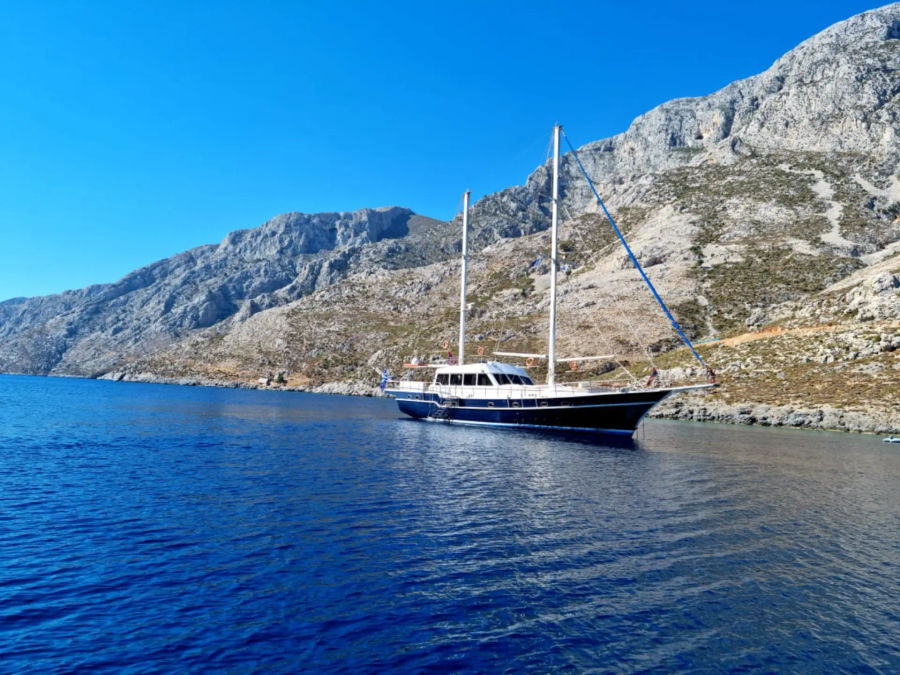 Rhenia and Delos Private Tour with a Gulet Golden Yachting and Sailing