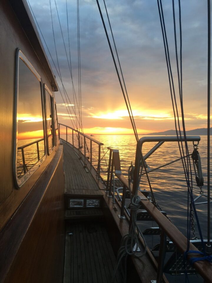 Mykonos South Beaches Luxury Cruise from Agios Ioannis Golden Yachting and Sailing